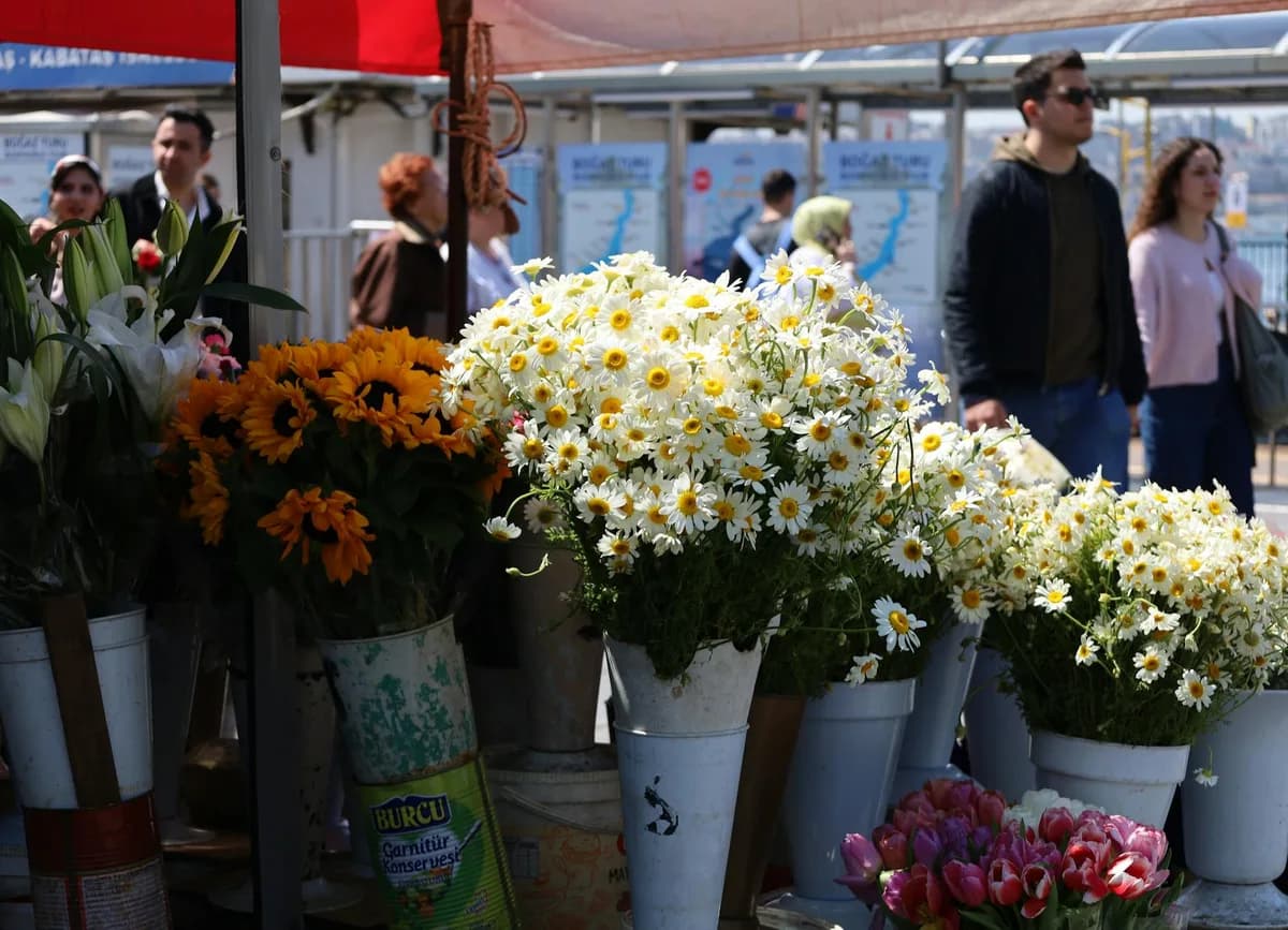 Kadıköy Çiçekçi ve Florist Rehberi: Taze Çiçek, Buket ve Aranjman