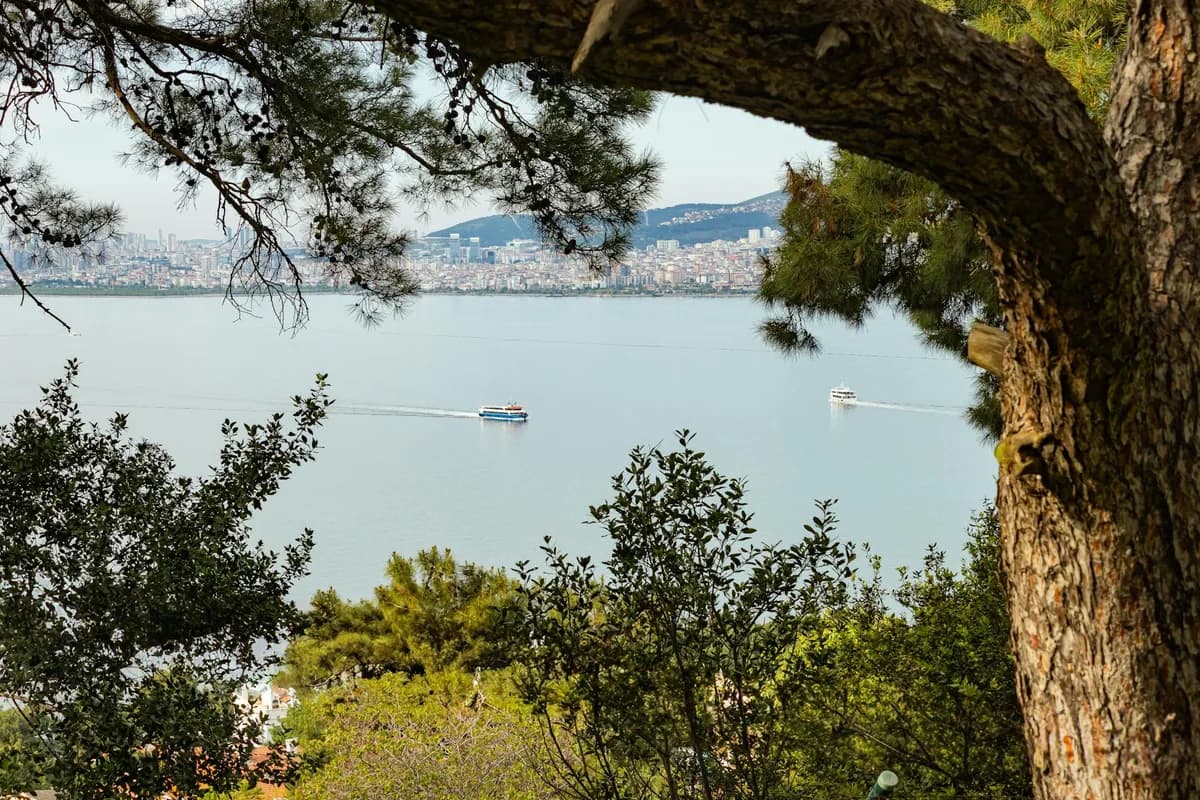 Kadıköy'de Sabah Koşusu: Rotalar, Parklar ve Koşucu Tavsiyeleri