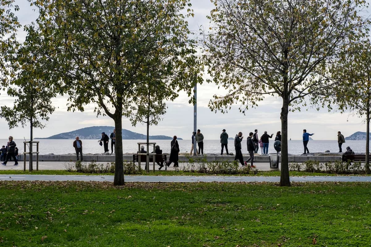 Kadıköy'de Park ve Piknik: Yoğurtçu, Göztepe 60. Yıl ve Fenerbahçe Parkı Rehberi