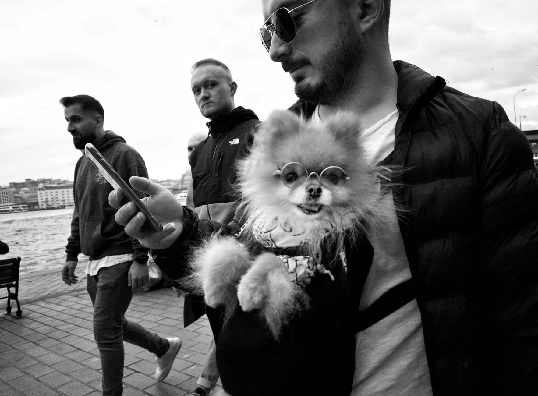 Kadıköy'de Evcil Hayvan Dostu Mekanlar: Kafeler, Parklar ve Veteriner
