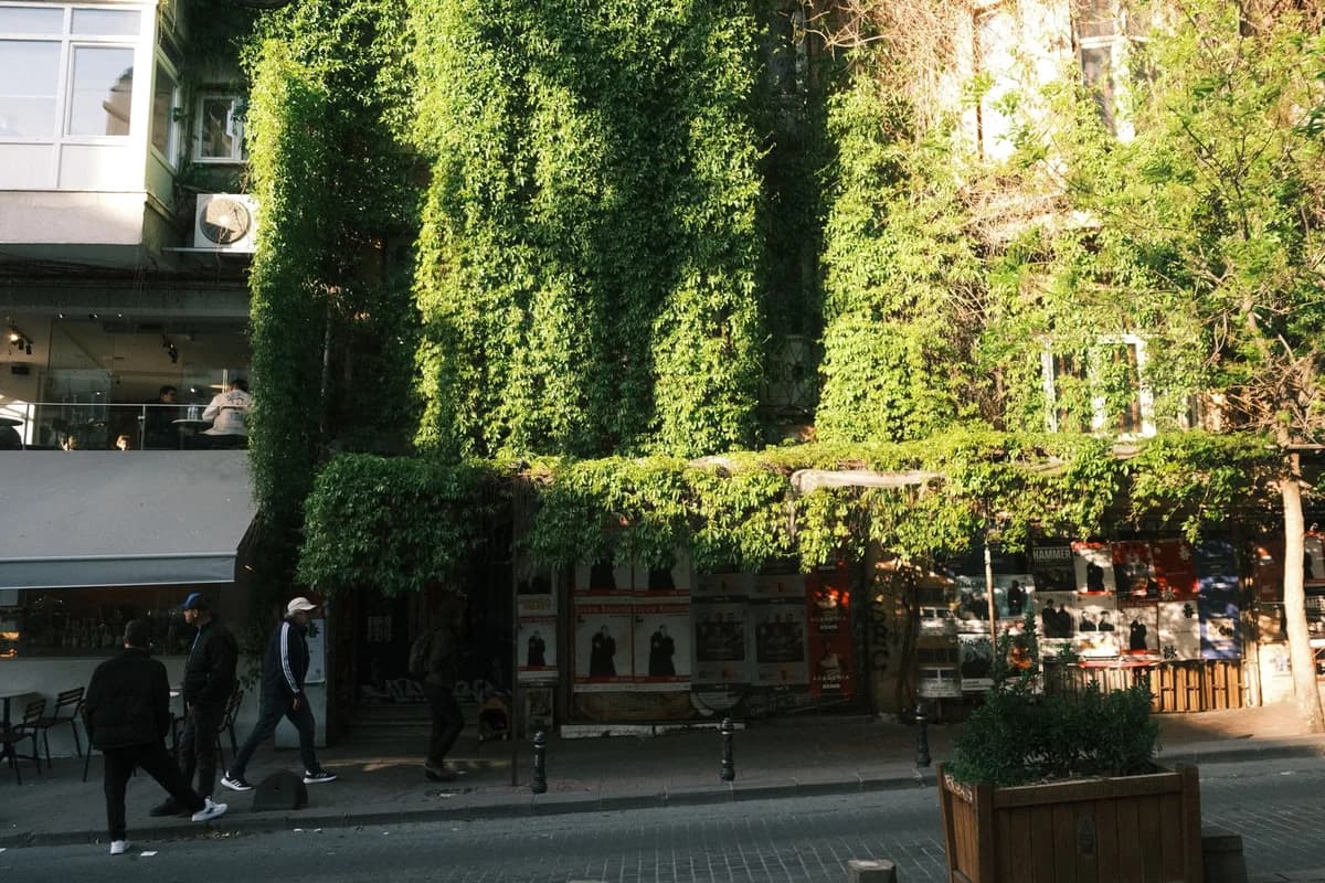 Karakolhane Caddesi Kadıköy: Sanat, Kafe ve Gizli Mekânlar Rotası