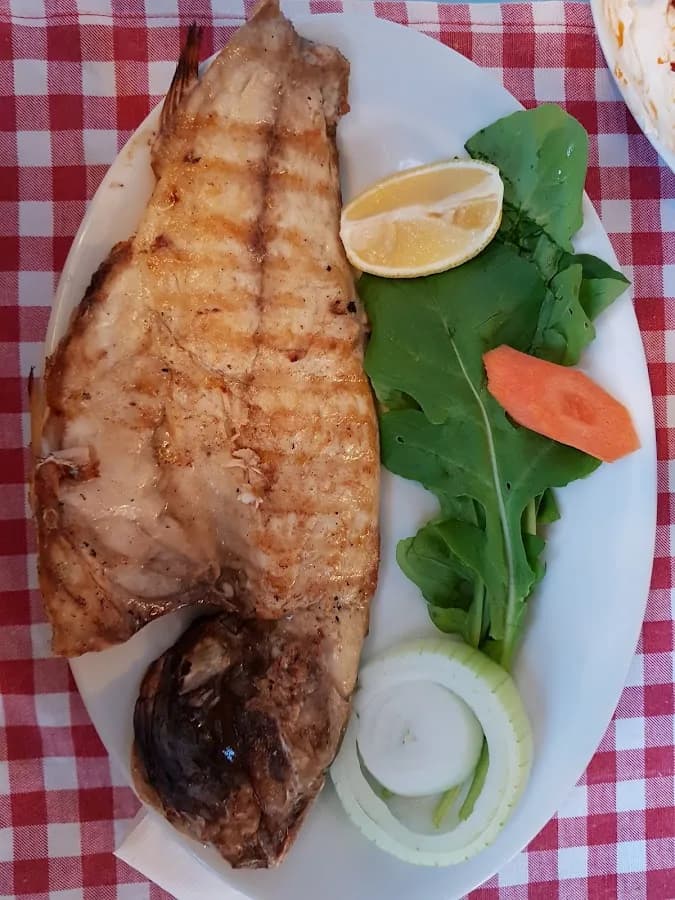 Koşuyolu Balık