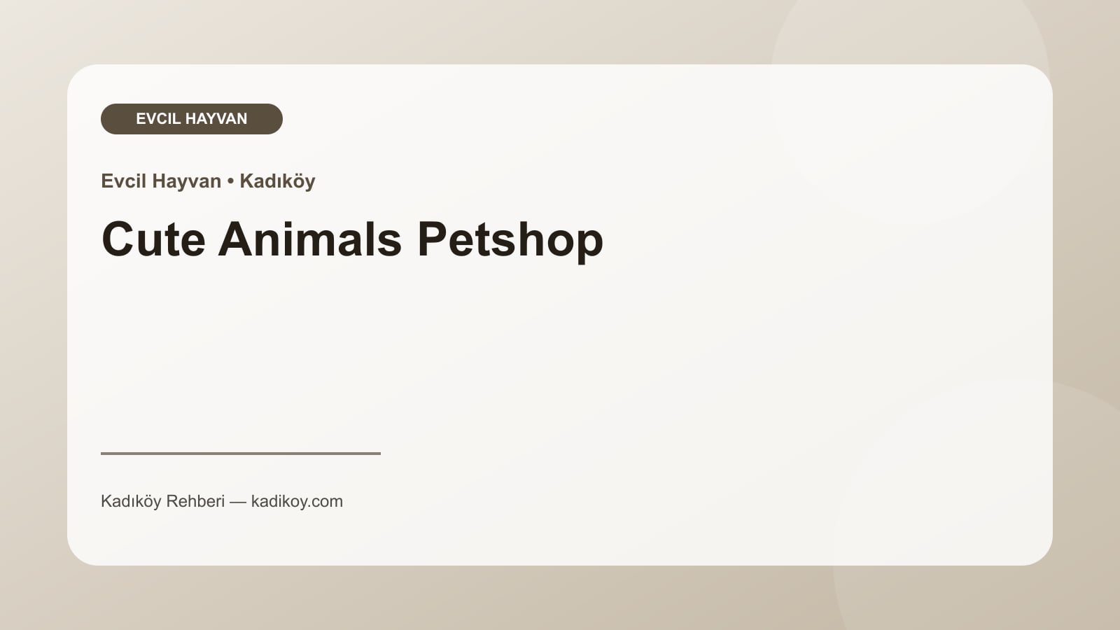 Cute Animals Petshop - Kadıköy işletme fotoğrafı
