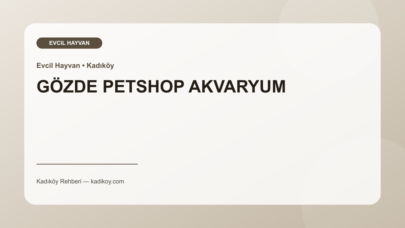 GÖZDE PETSHOP AKVARYUM - Kadıköy işletme fotoğrafı