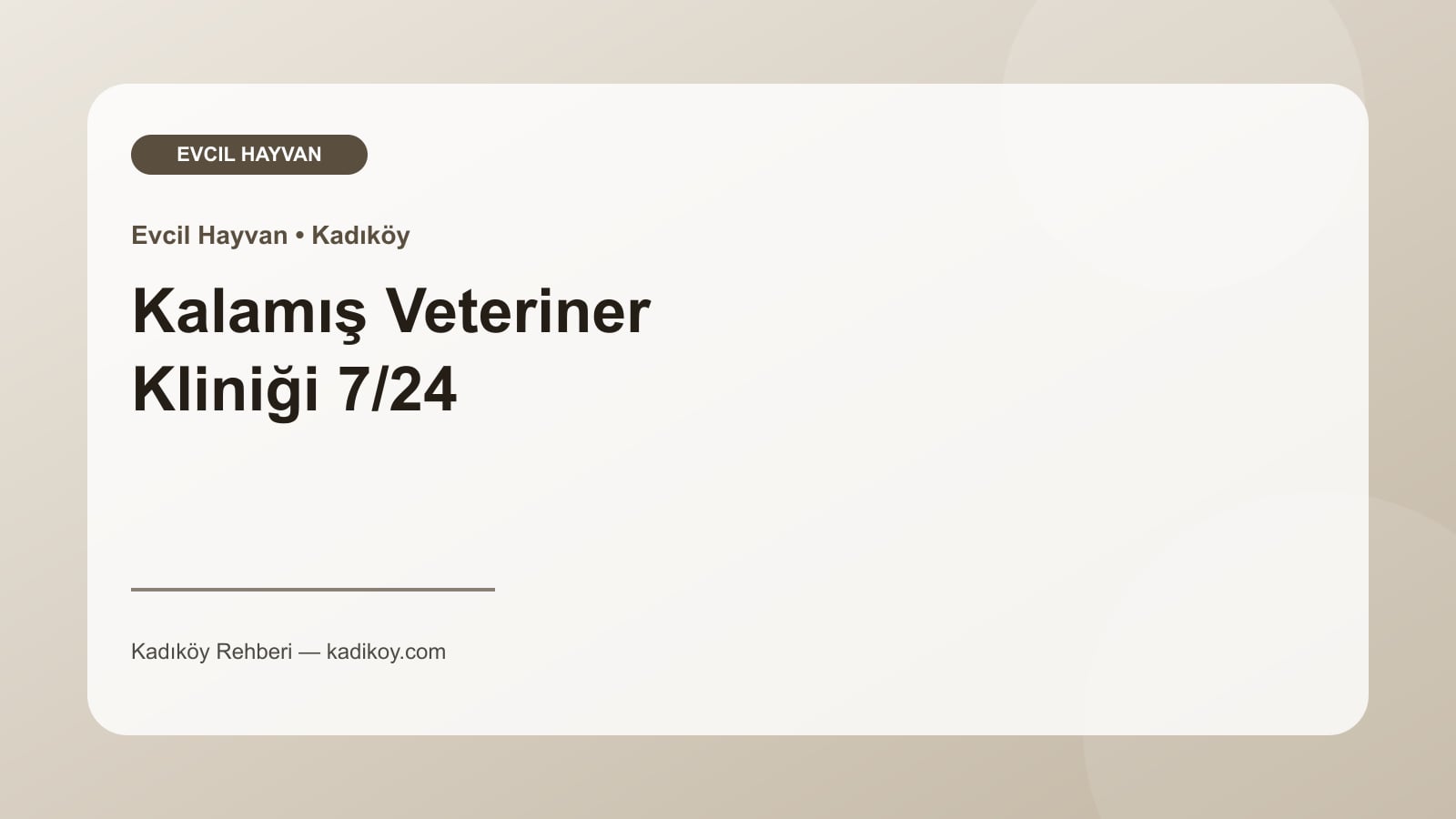 Kalamış Veteriner Kliniği 7/24 - Kadıköy işletme fotoğrafı