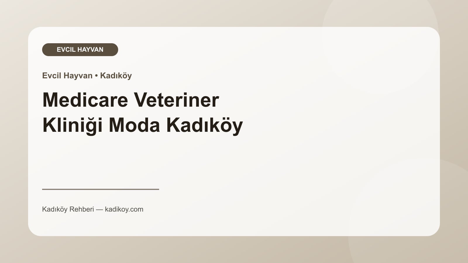 Medicare Veteriner Kliniği Moda Kadıköy - Kadıköy işletme fotoğrafı