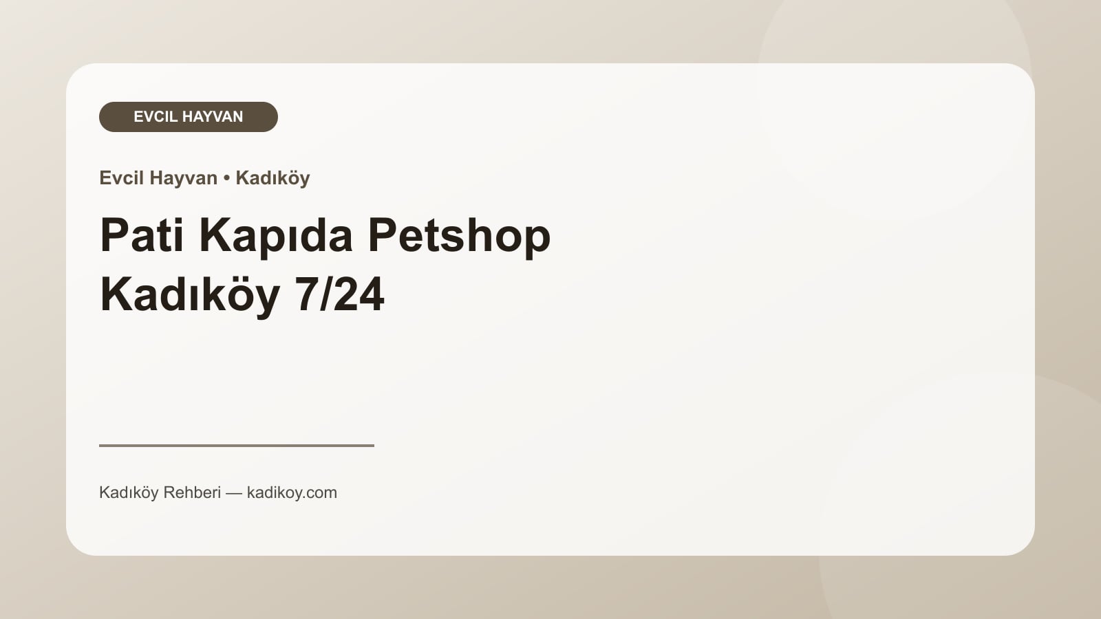 Pati Kapıda Petshop Kadıköy 7/24 - Kadıköy işletme fotoğrafı