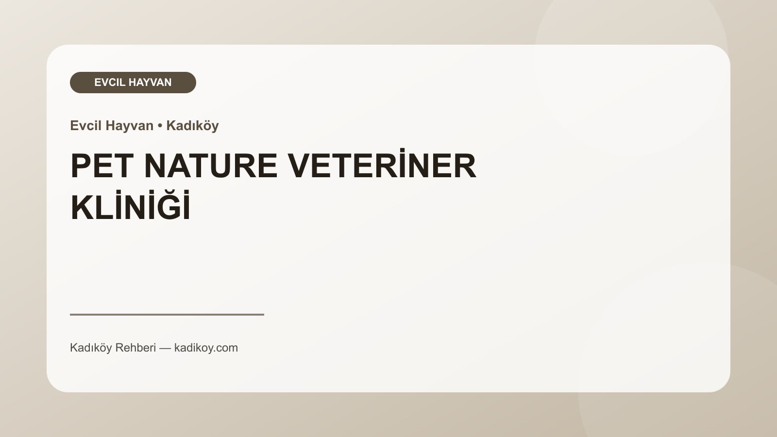 PET NATURE VETERİNER KLİNİĞİ - Kadıköy işletme fotoğrafı
