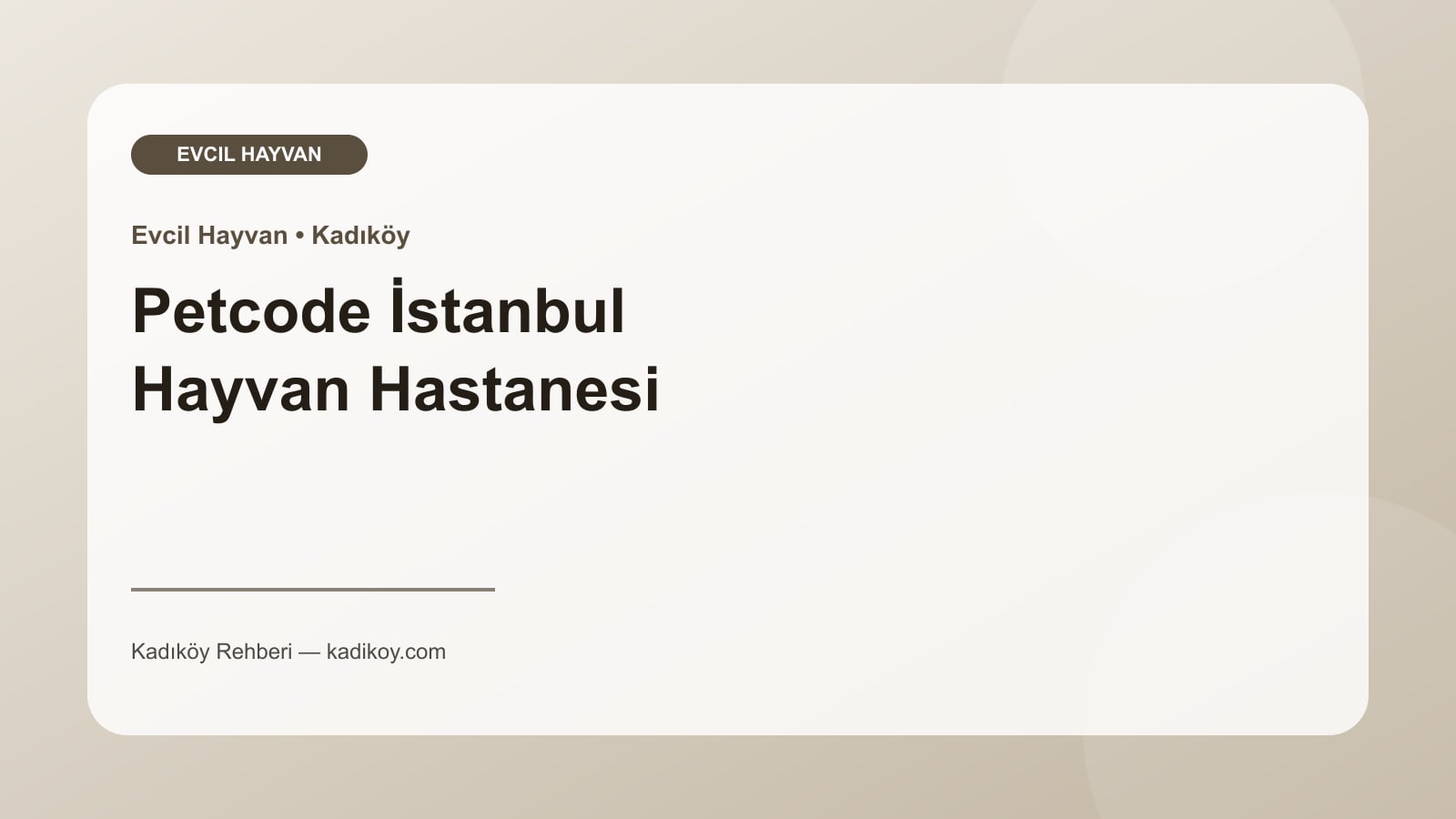 Petcode İstanbul Hayvan Hastanesi - Kadıköy işletme fotoğrafı