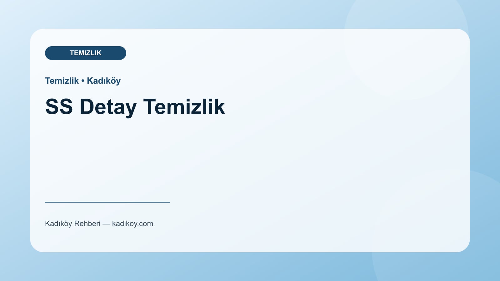 SS Detay Temizlik - Kadıköy işletme fotoğrafı