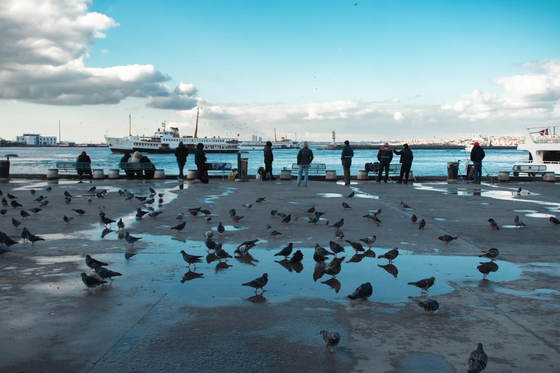 Vetline Hayvan Hastanesi - Kadıköy işletme fotoğrafı