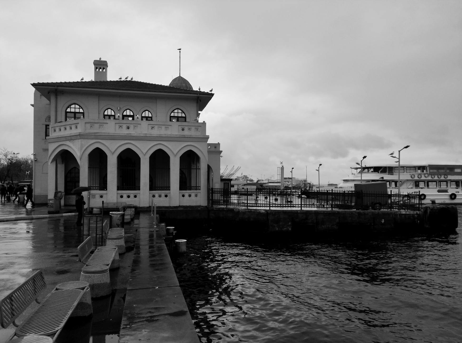 Yenitepe Veteriner Polikliniği 7/24 Acil Müdahale - Kadıköy işletme fotoğrafı