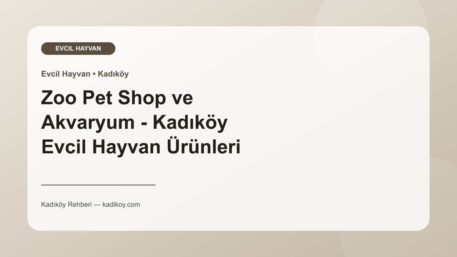 Zoo Pet Shop ve Akvaryum - Kadıköy Evcil Hayvan Ürünleri - Kadıköy işletme fotoğrafı