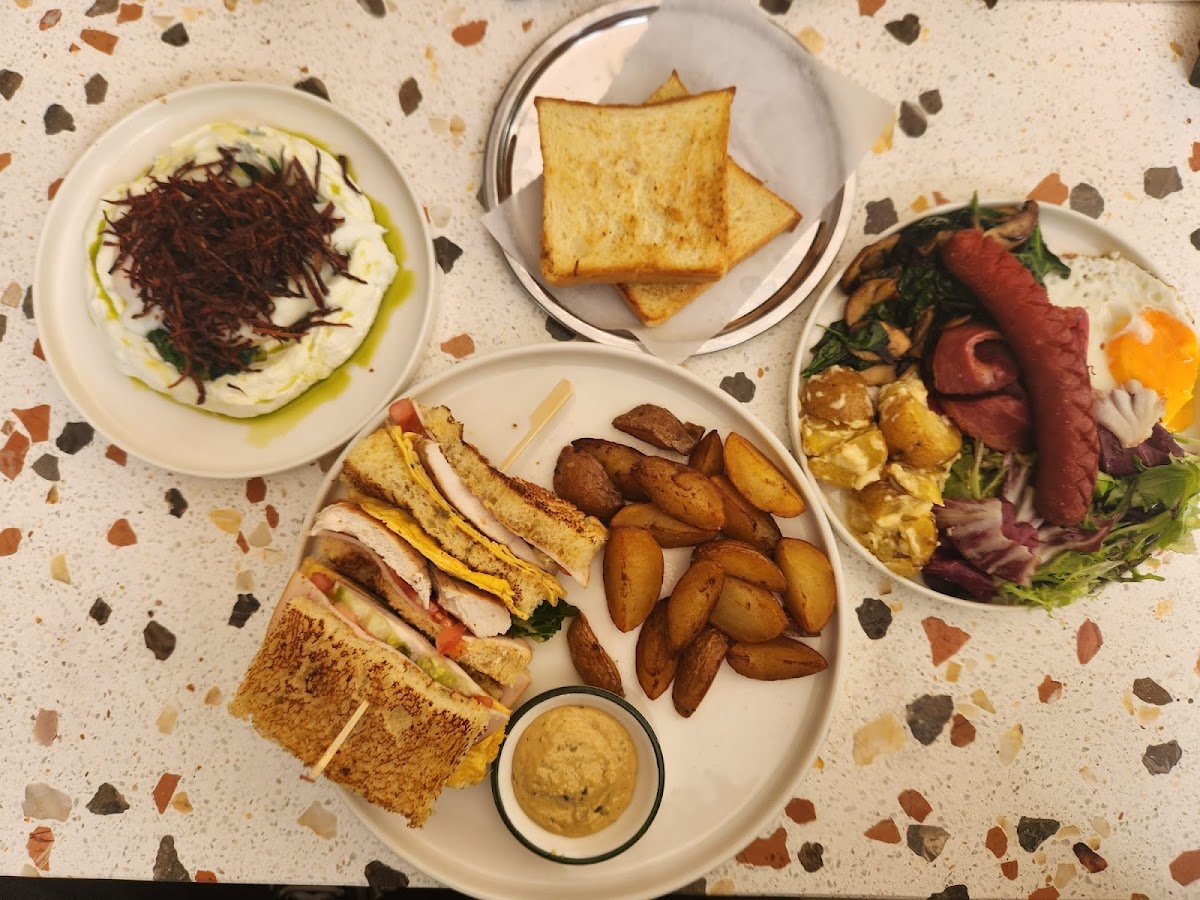 Palmyra - Kadıköy işletme fotoğrafı