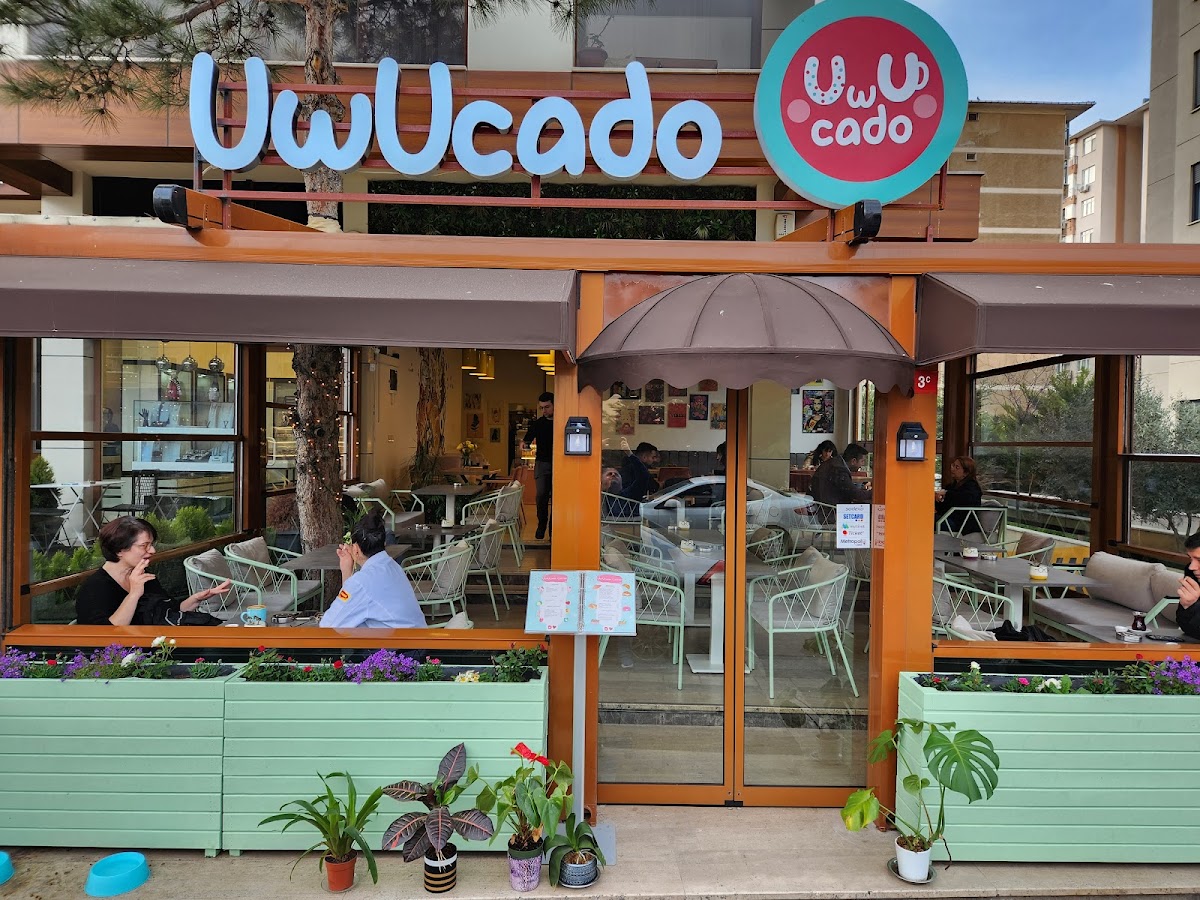 UwUcado Coffee - Kadıköy işletme fotoğrafı