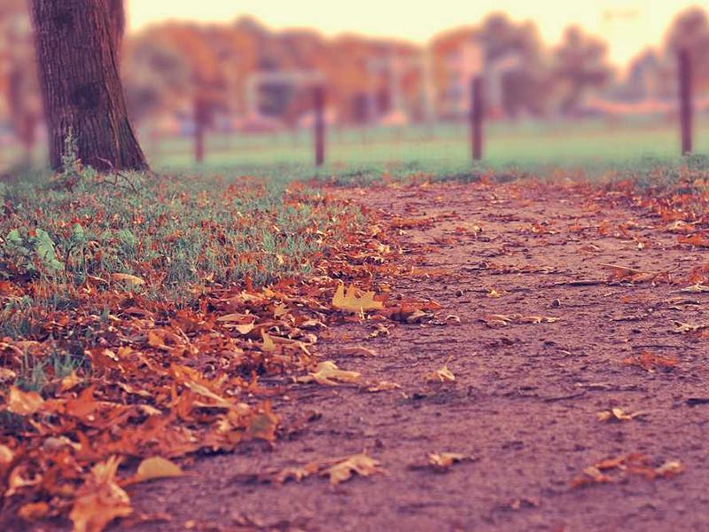 Aktaş Tercüme Bürosu