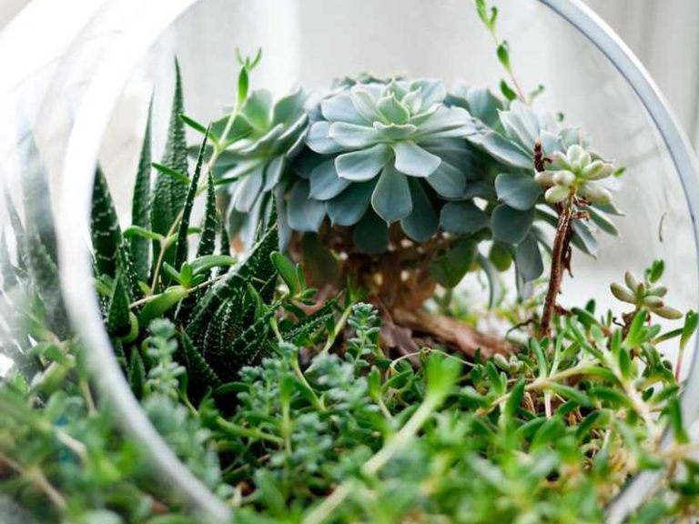 Ayrılıkçeşme Ziyaettin Efendi Köşkü - Kadıköy