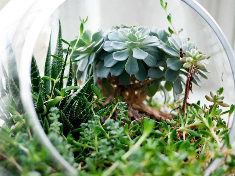 Ayrılıkçeşme Ziyaettin Efendi Köşkü