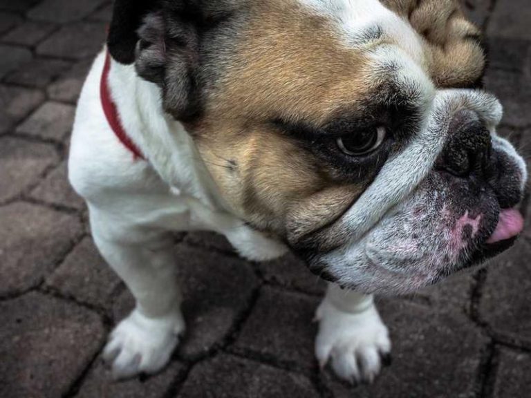 Caz Seminerleri - Kadıköy