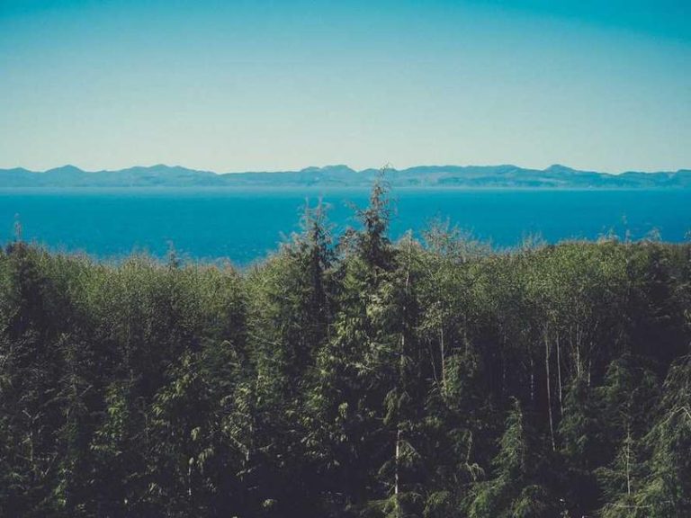 Çikolata Dükkanı Kadıköy