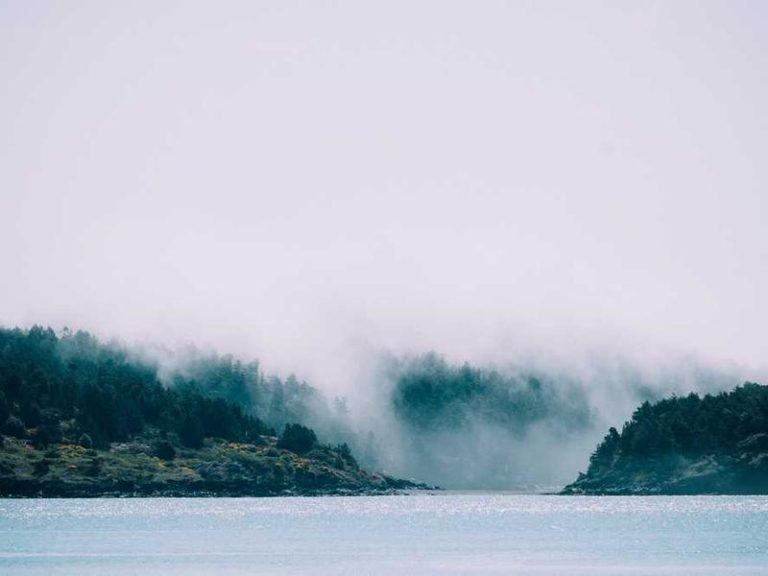 DsHost Hosting Servisleri - Kadıköy