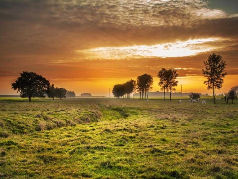 Ekolojik Yaşam Parkı ve Kompost Eğitim Merkezi İnşası - Kadıköy