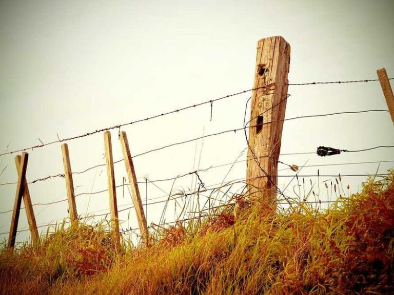 Florence Nightingale Müzesi Kadıköy