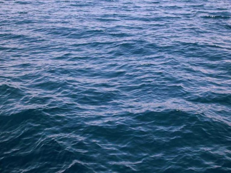 Karikatür Evi Amatör Buluşmaları - Kadıköy