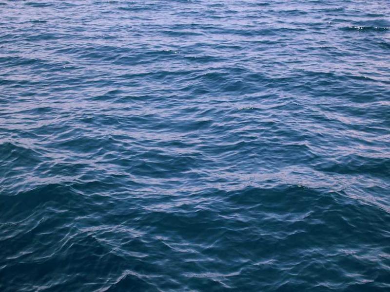 Karikatür Evi Amatör Buluşmaları