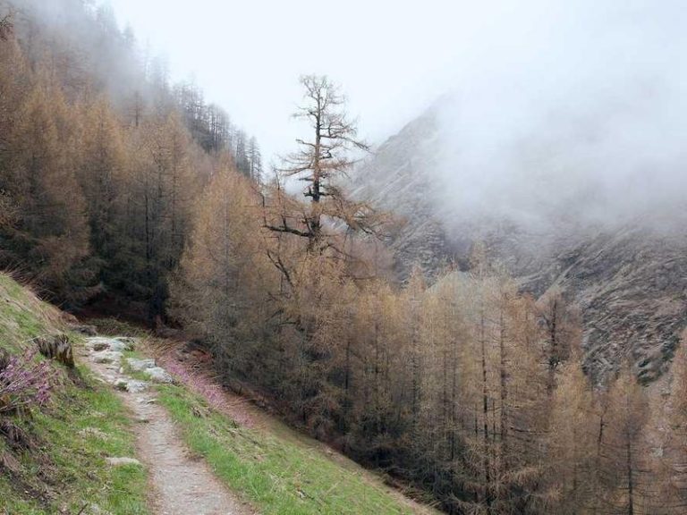 Kazım İsyandır - Kadıköy