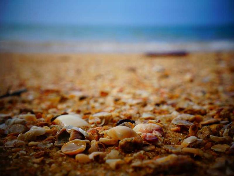 Optimum Outlet Alışveriş Merkezi