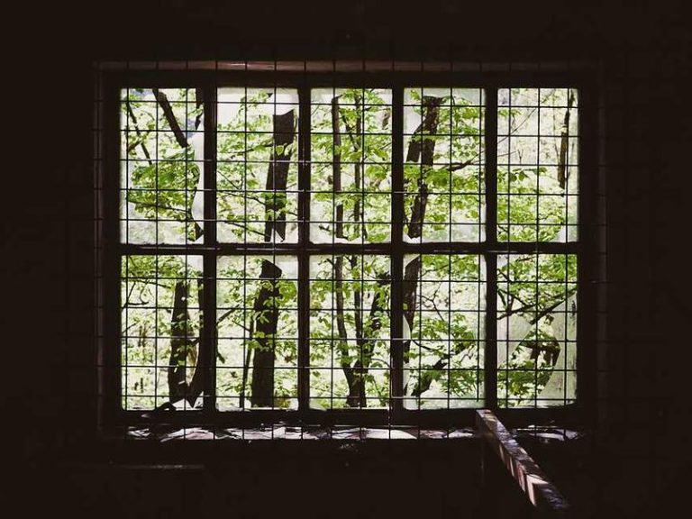 Parklarda Caz - Kadıköy