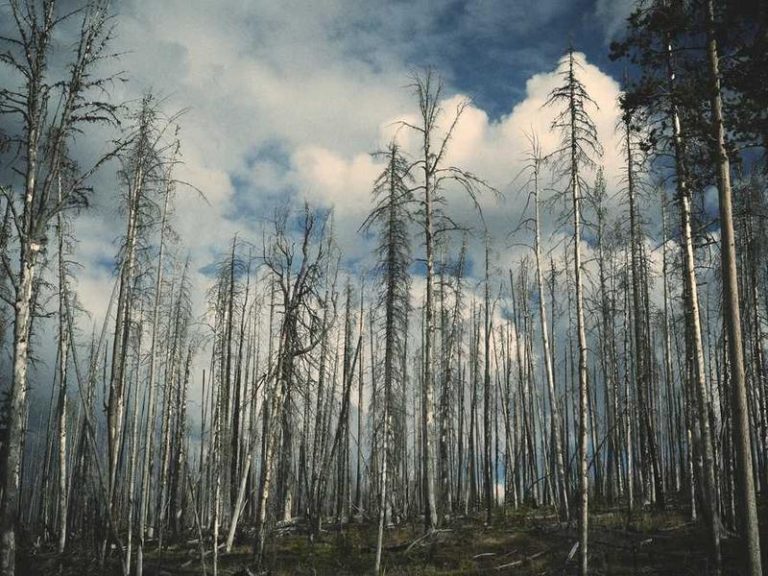 Ragıp Paşa Köşkü Kadıköy