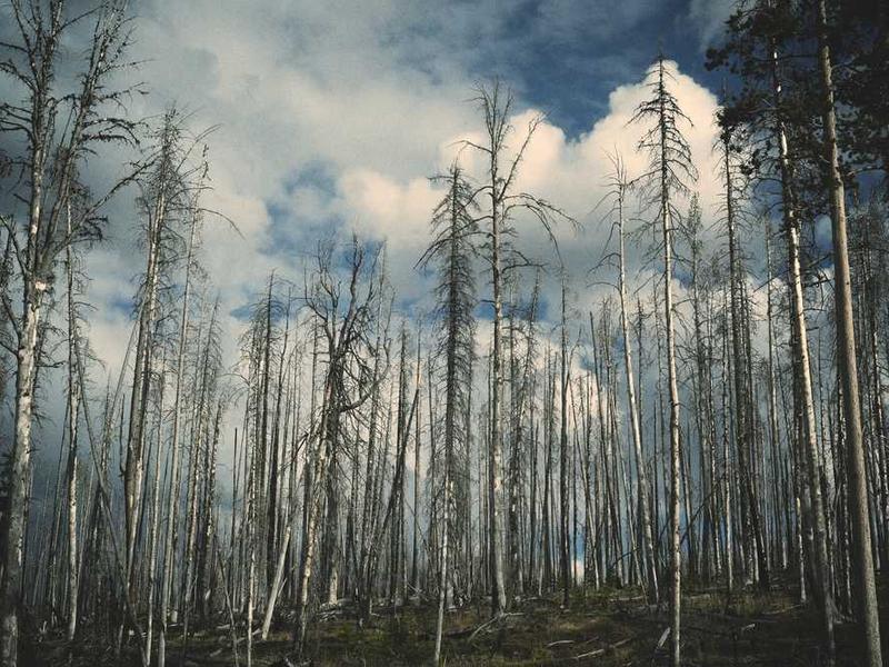 Ragıp Paşa Köşkü