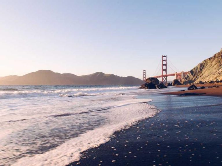 Walter's Coffee Roastery - kahve