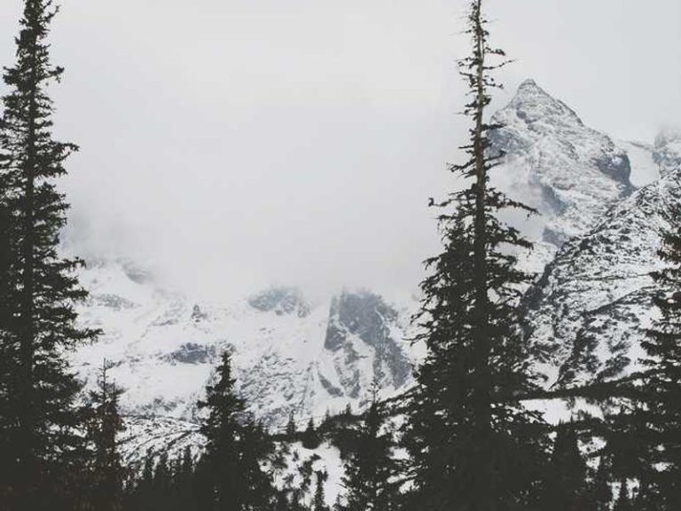 Yeryüzü Repair Cafe 2. yılında - Kadıköy