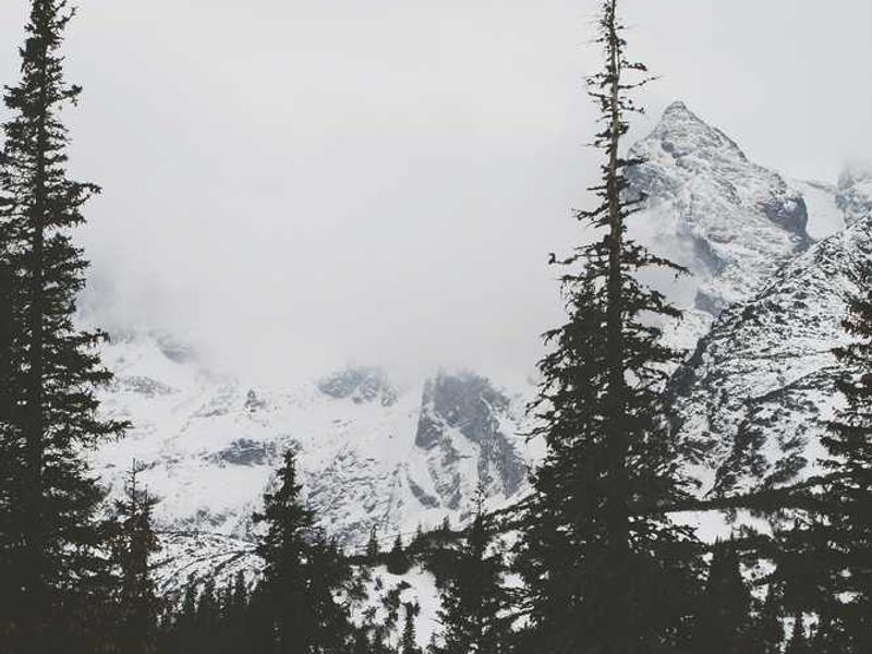 Yeryüzü Repair Cafe 2. yılında